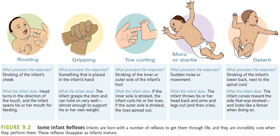 Newborn Baby Reflexes Chart